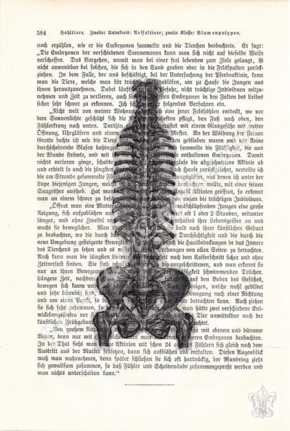 f301bbd8565ba5ffe5b818d003884112